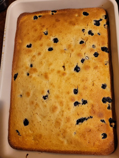 A picture of Our favorite gf blueberry cake.
