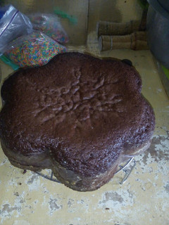 A picture of Cocoa cake.
