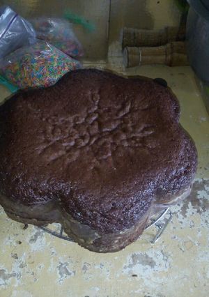A picture of Cocoa cake.