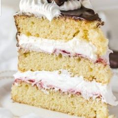 A picture of Vanilla sponge cake.