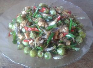 Foto resep Tumis Rimbang Pedas