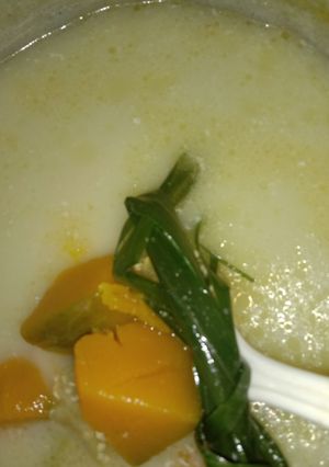 Foto resep Sayur santan labu vs terong ungu