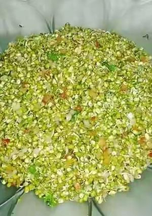अंकुरित मूंग की चाट रेसिपी मुख्य फोटो