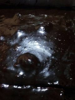 صورة لوصفة جاتوه شاتوه