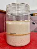 Sourdough Starter