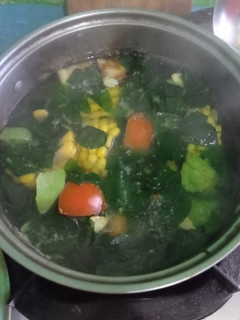 Foto resep Sup bening daun katuk (seger)