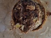 A picture of stevia muffins