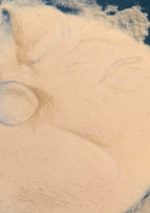 Una foto de Salsa creamy de champiñones