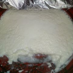 Homemade yogurt/Dahi A picture of Homemade yogurt/Dahi.