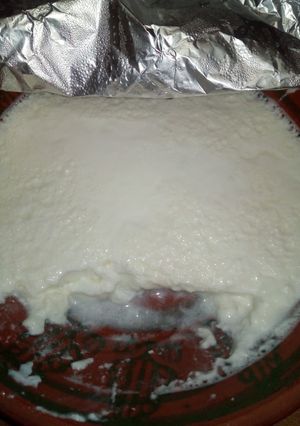 A picture of Homemade yogurt/Dahi.