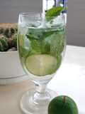 "Soju Mojito" 🍸🌿🍋