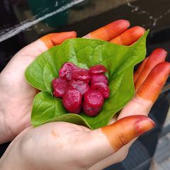 A picture of Dragon Fruities.