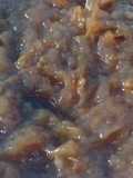 Dulceață cu mere de vară si prune bistrite