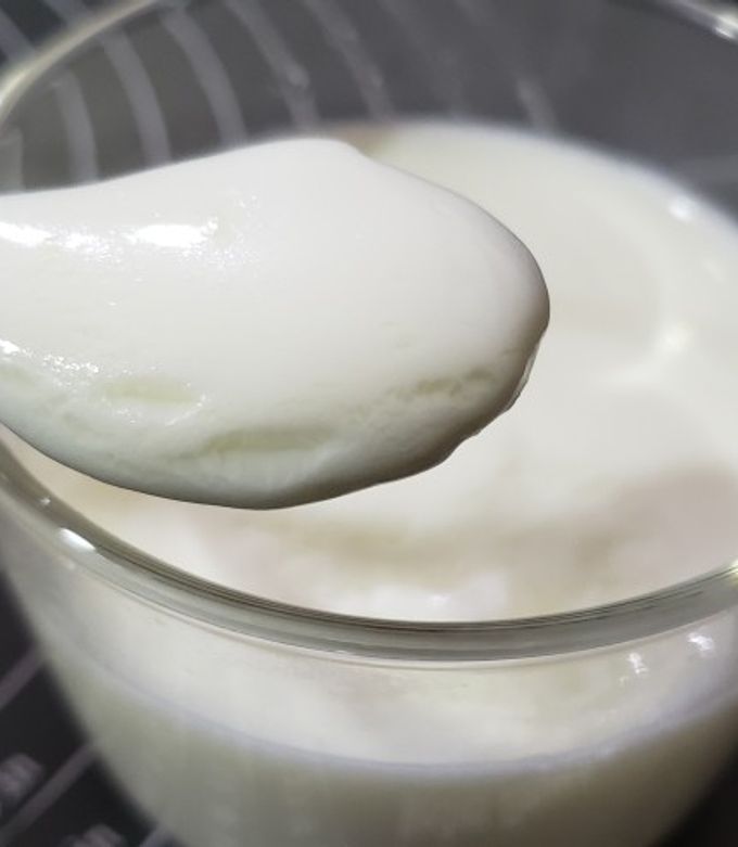 【冬日甜品】薑汁撞奶 的食譜成品照片