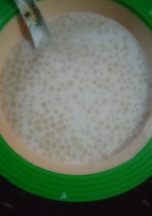 A picture of Plomb porridge.