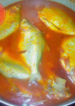 A picture of Fresh fish soup or stew.