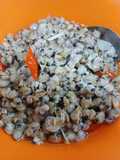 Tumis harmis / kerang sungai