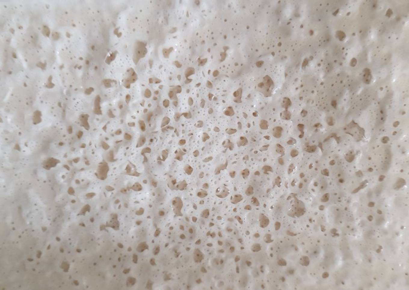 Sourdough starter