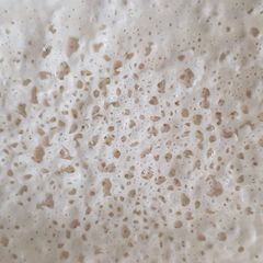 A picture of Sourdough starter.