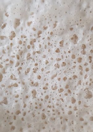 A picture of Sourdough starter.