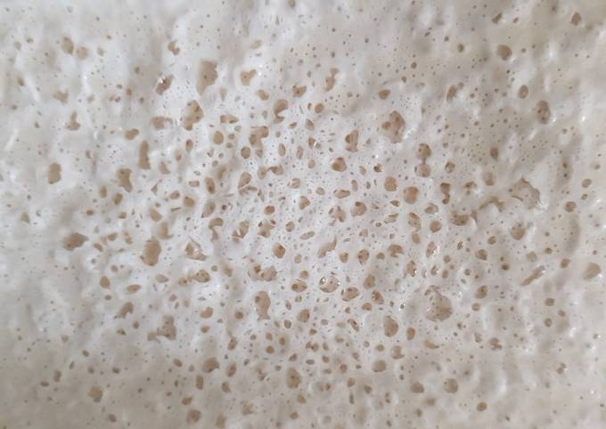 How to Make Homemade Sourdough starter