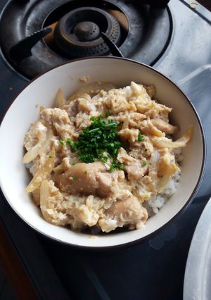 A picture of Oyakodon.