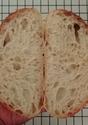 Foto resep Basic Sourdough Bread 72% (Open Bake Method - Oven Tangkring)