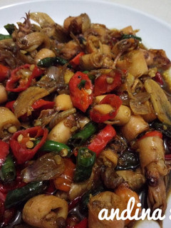 Foto resep Tumis Cumi Asin Bumbu Pedas
