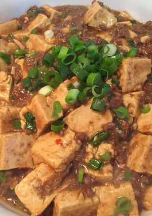 A picture of Mapo Tofu my style.