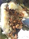 Nasi Bakar Usus