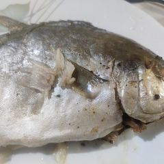 A picture of Broiled Pampano.