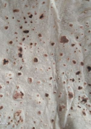 A picture of Roti.