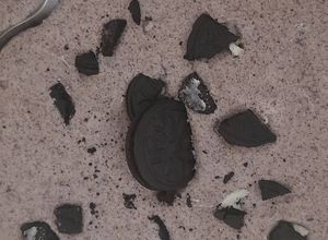 Foto de Mousse de Oreo