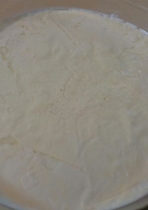 عکسی از دستور ماست خونگی