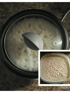 A picture of Rice Pudding.