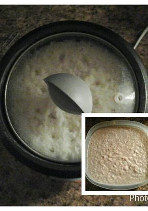 A picture of Rice Pudding.