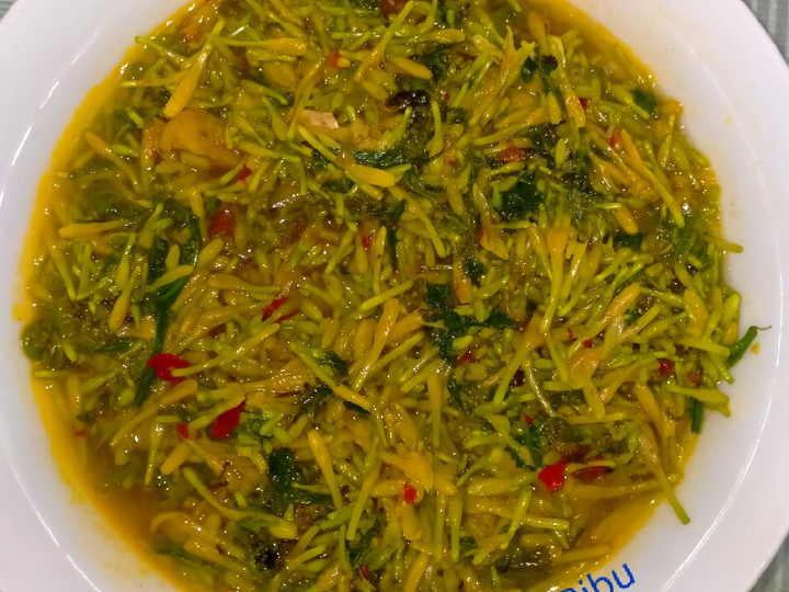 Bagaimana Membuat Oseng Bunga Pepaya &amp;amp; Pakis yang Sempurna