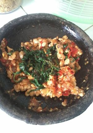 Foto resep Penyet tempe kemangi