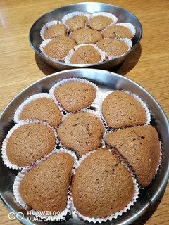 A picture of Milo Cupcake.