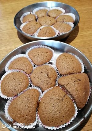 A picture of Milo Cupcake.
