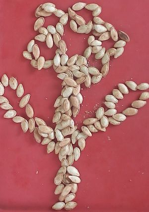 صورة لوصفة بذور قرع