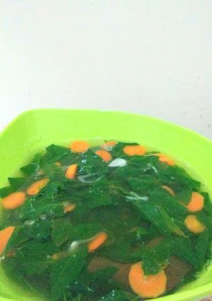 Foto resep Sayur Bening Katuk