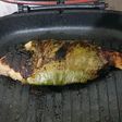 Ikan kerutup