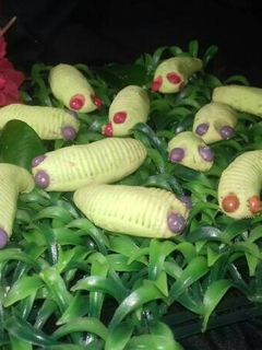 Foto resep Cookies ulat