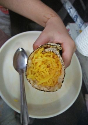 A picture of Papad cone.