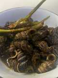 Siput Hisap Masak Semur