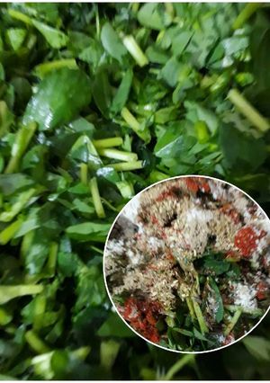 A picture of Green Salad.