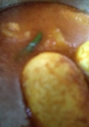 A picture of Egg kosha.