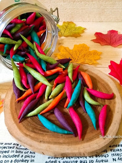 Foto resep Telur Gabus Keju Colourfull