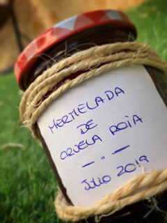 Una foto de Mermelada de ciruela roja en thermomix